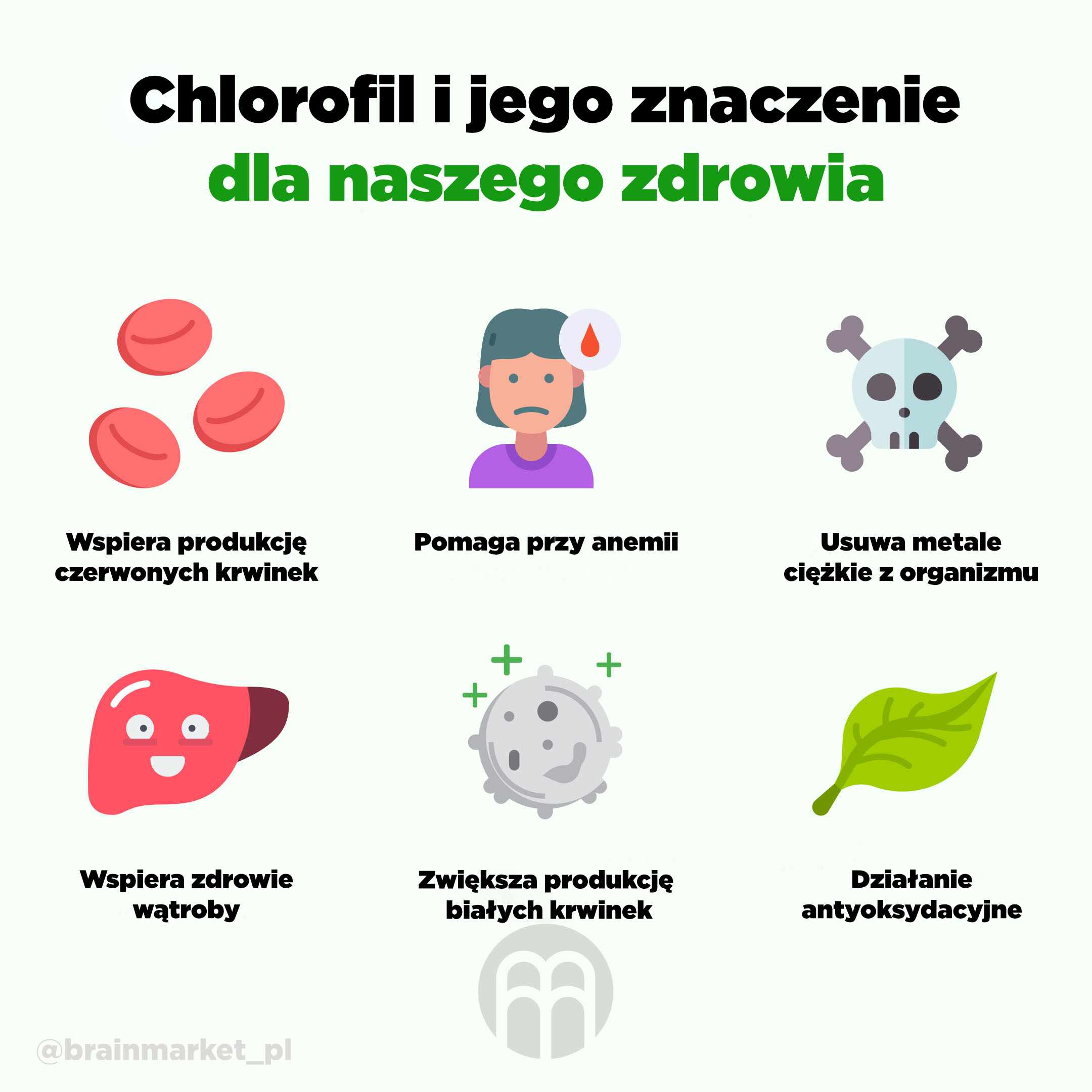 chlorofyl INFOGRAFIKA BRAINMARKET pl